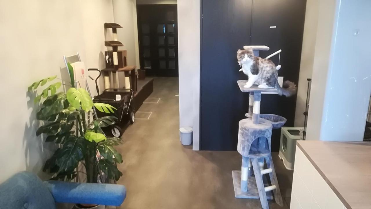 Cote Sakuragawa "Room 201,301,401" - Vacation Stay 03144V Osaka Luaran gambar
